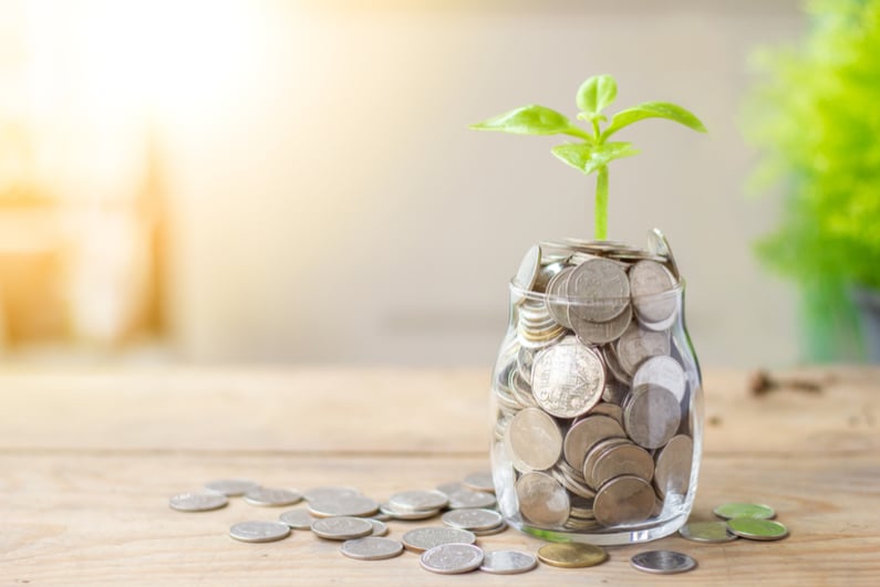 Plant growing out of coin jar